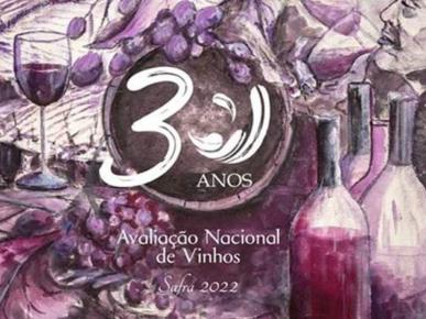 30 anos da ANV