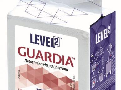 Level2 Guardia